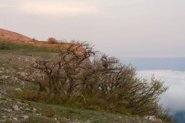 Spring landscape with clouds — Stock Photo, Image