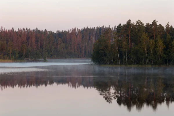 Пейзаж на лесном озере — стоковое фото