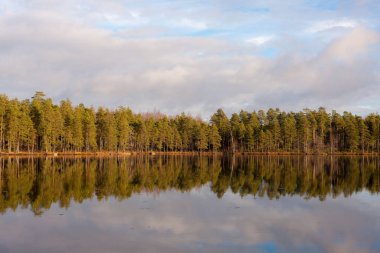 Sonbaharın sonlarında orman gölü