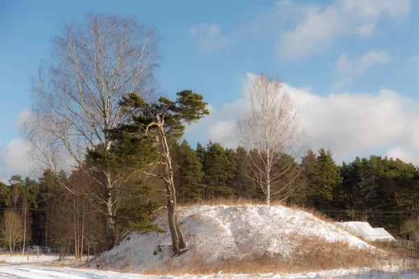 Journée ensoleillée d'hiver — Photo