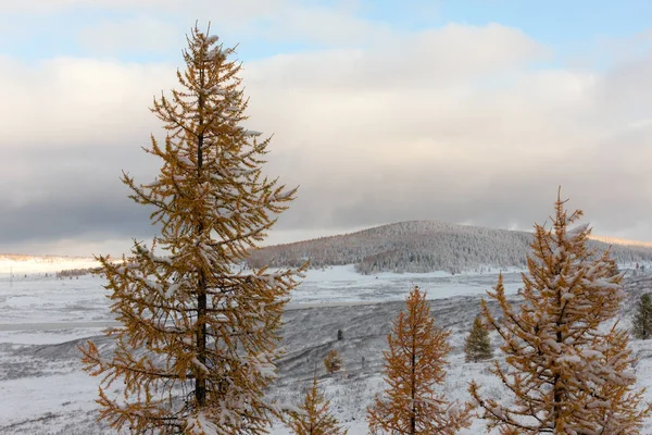 Podzimní hory po sněžení — Stock fotografie