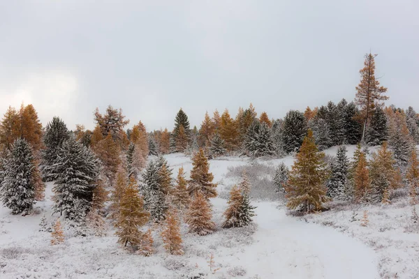 Landschaft nach Schneefall — Stockfoto