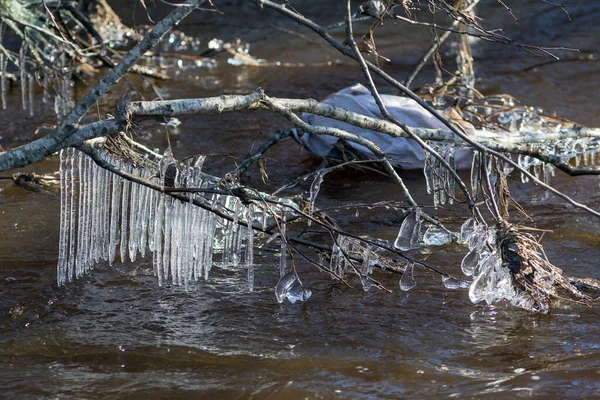 Eiszapfen Auf Ästen Über Flusswasser — Stockfoto