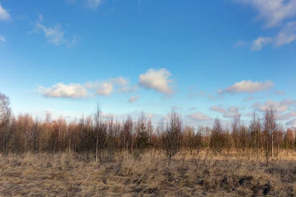 Paisagem Com Floresta Nuvens Primavera — Fotografia de Stock