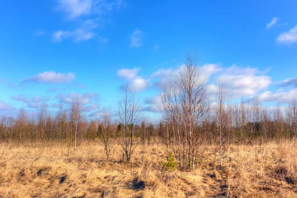 Lkbaharda Orman Bulutlarla Manzara — Stok fotoğraf