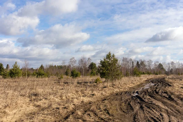 Paysage Avec Forêt Chemin Terre Printemps — Photo