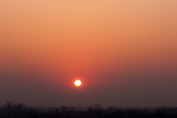 Sonnenaufgang Morgennebel Über Dem Wald — Stockfoto