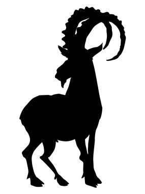 dağ keçisi silüeti