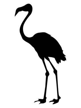 flamingo silüeti