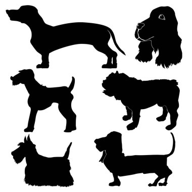 Köpekler kümesi