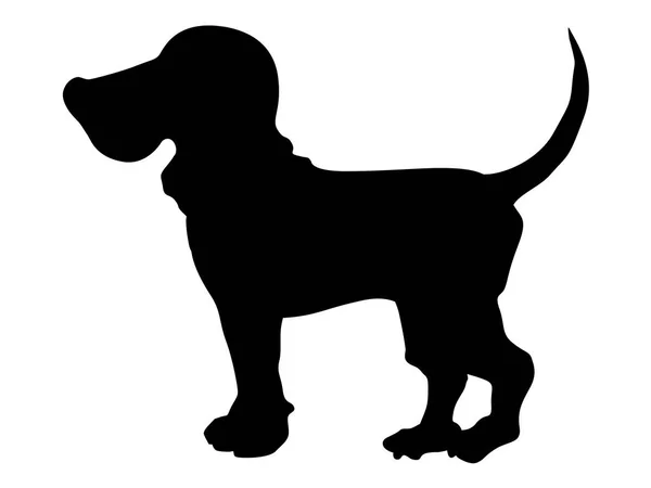 Silhouette of beagle — Stock Vector