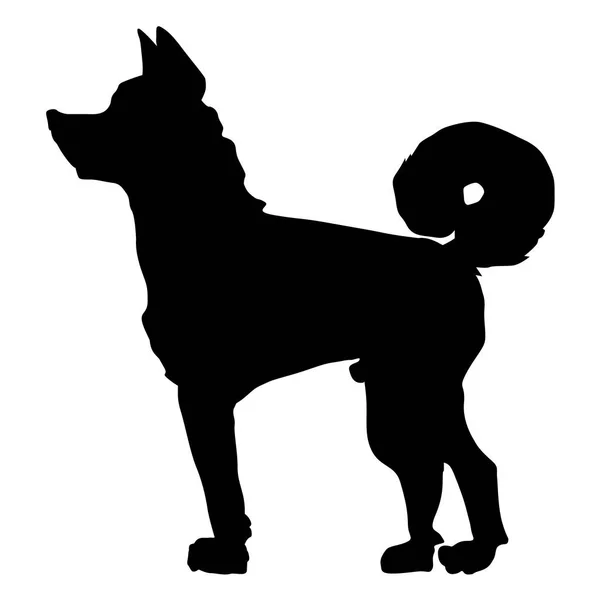 Japonés perro akita — Vector de stock