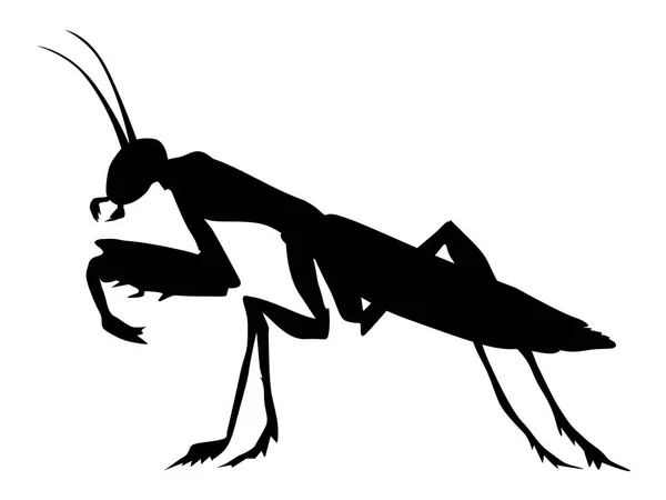 Sziluettjét mantis — Stock Vector