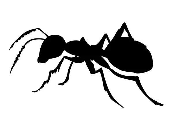 Silueta de hormiga ordinaria — Vector de stock
