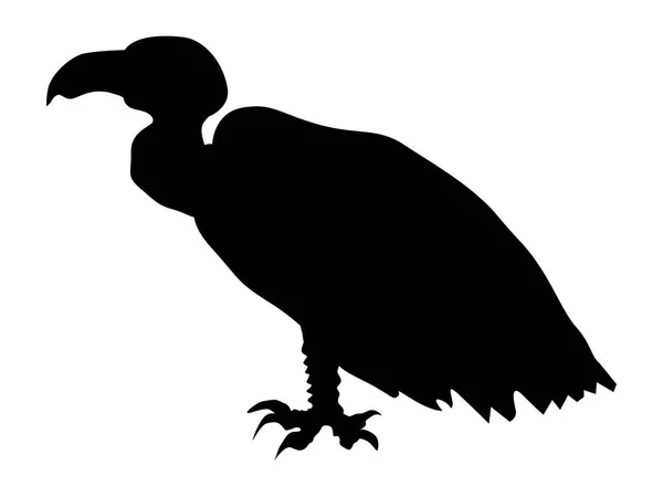 Silhouette of vulture — Stock Vector