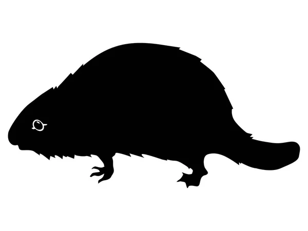 Silhouette of beaver — Stock Vector