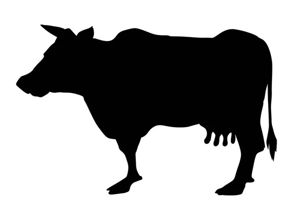 Kráva, domácí zvíře — Stockový vektor