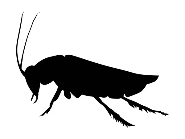 Silueta de cucaracha — Vector de stock