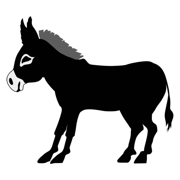Silhouette of donkey — Stock Vector