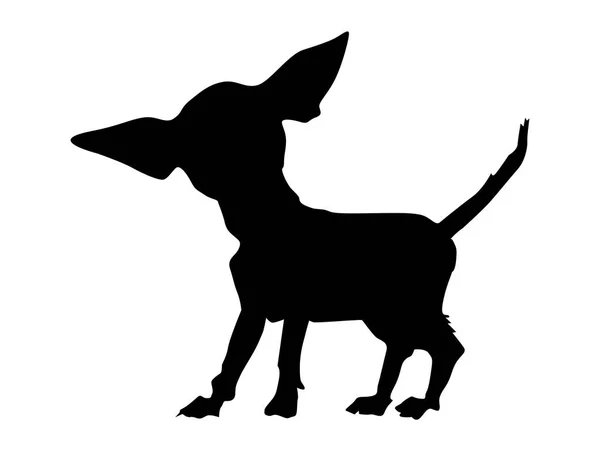 Silhouette de chihuahua — Image vectorielle