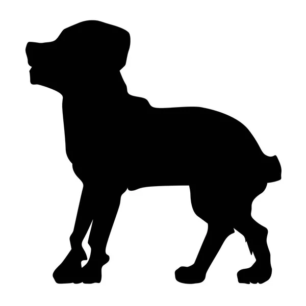 Silhouette of rottweiler — Stock Vector