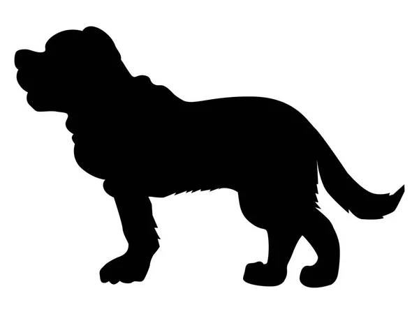 Saint bernard dog — Stock Vector