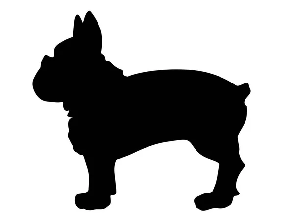 Siluet bulldog Perancis - Stok Vektor