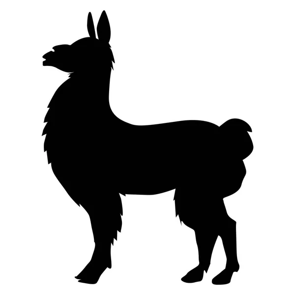 Láma állat Dél-Amerika — Stock Vector