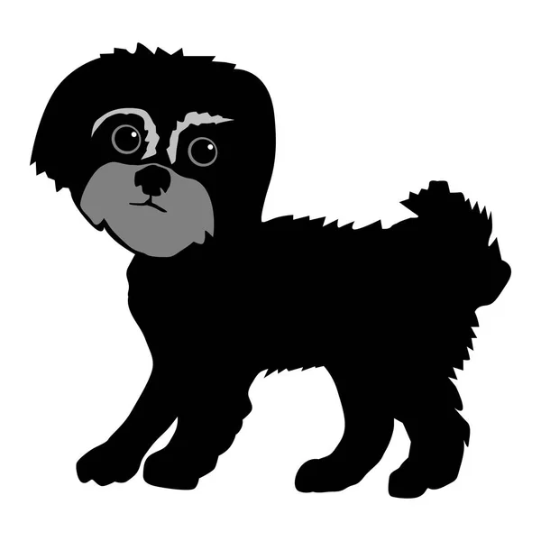 Silueta del perro maltés — Vector de stock