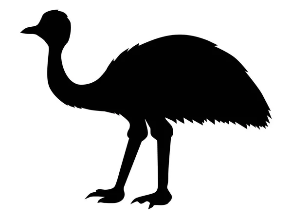 Silhouette von Strauß-Emu — Stockvektor