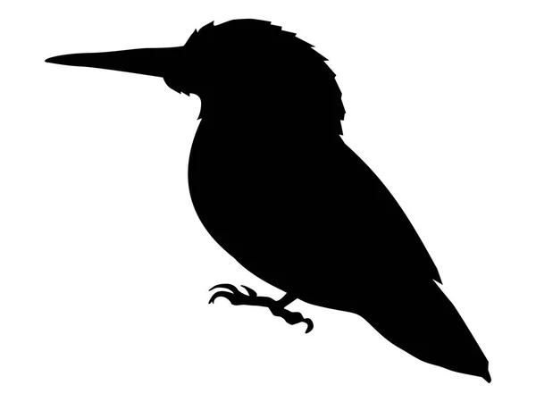 Silhouette of kingfisher — Stock Vector