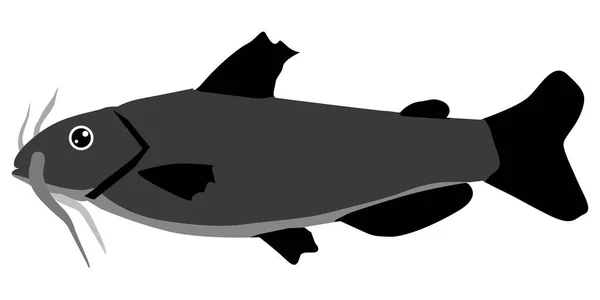 Yayın balığı silüeti — Stok Vektör