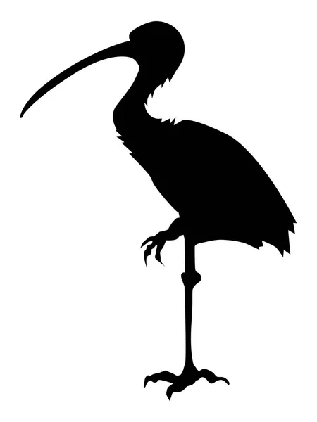 Silhouette of ibis — Stock Vector