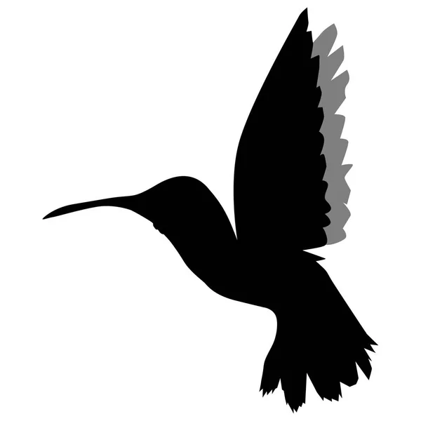 Silhouette di colibrì — Vettoriale Stock