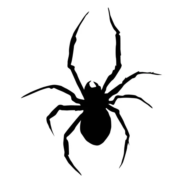Silhouette der Spinne — Stockvektor