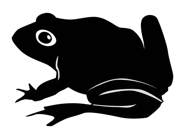 Silhouette of toad — Stock Vector