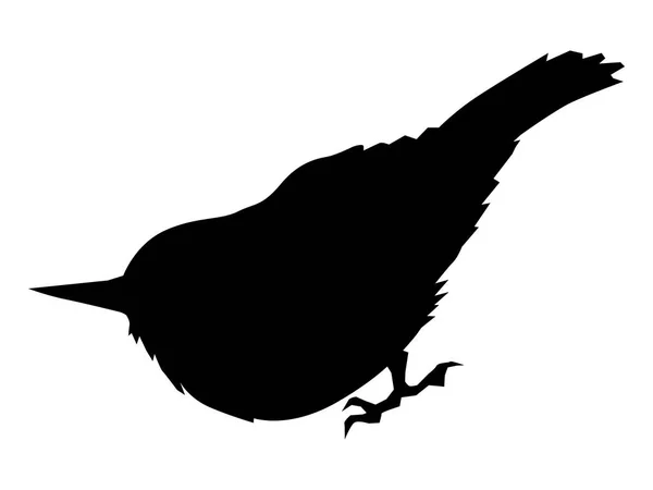 Silhouette of nuthatch — Stock Vector