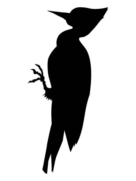 Silhouette of woodpecker — Stock Vector
