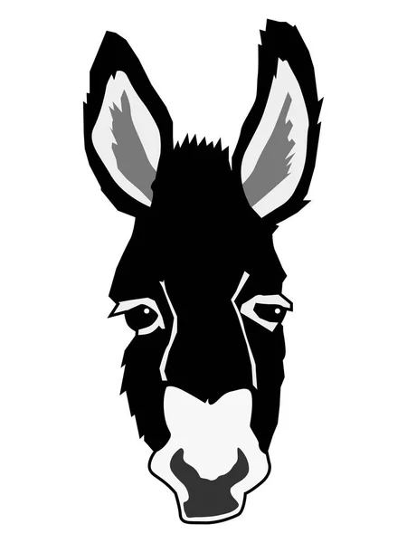 Portrait of donkey — Stock Vector