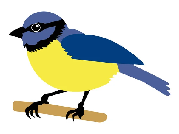 Vector illustration of tit bird — Stock Vector