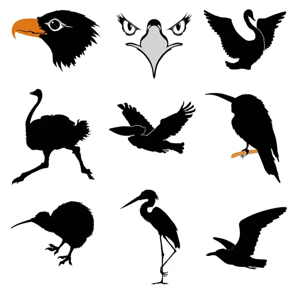 Uppsättning av silhuetter av fåglar — Stock vektor