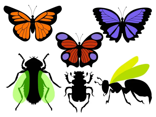 Vector illustrations of insects — Stock Vector
