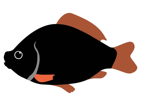 Silhouette of crucian Vector Graphics