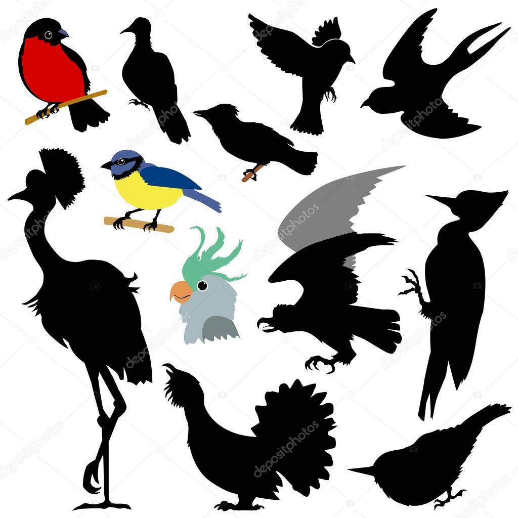 Set of silhouettes of birds