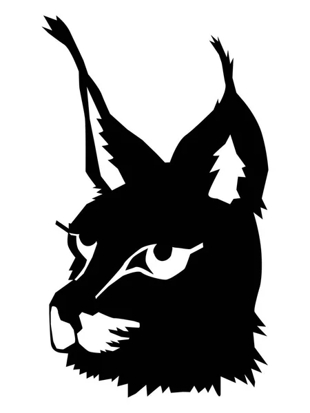 Tête de lynx — Image vectorielle