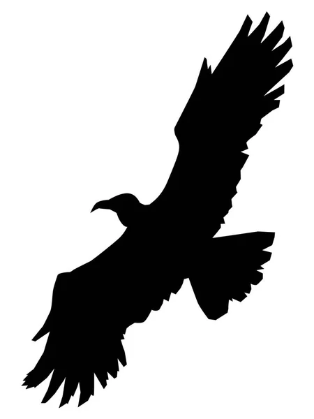 Aquila, re degli uccelli — Vettoriale Stock