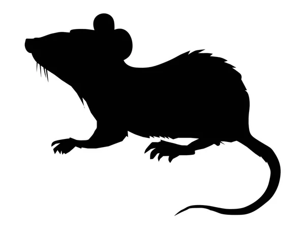 Malá myš domácí — Stockový vektor