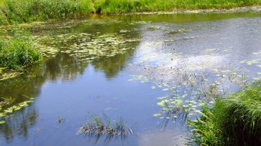 küçük, sessiz nehir