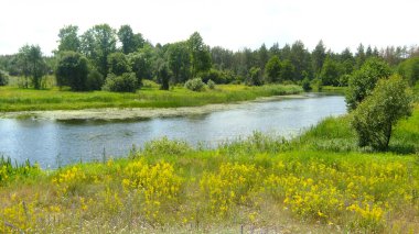 küçük, sessiz nehir