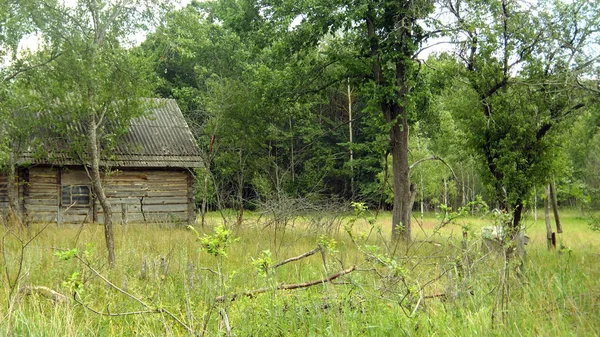 Drewniany, opuszczony dom — Zdjęcie stockowe